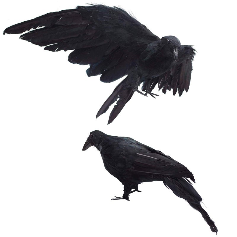 Etistta 2-Pack Realistic Crows Lifesize Extra Large Handmade Black Feathered Crow for Halloween Decorations Birds, L (13 inch+12 inch) - Image 1